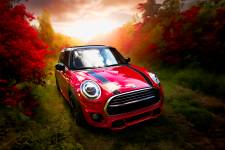 Fanny LONGELIN - FANNY LONGELIN PHOTOGRAPHE