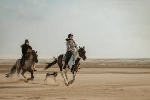 Guillaume CLAMAGIRAND - CG PHOTOGRAPHIE